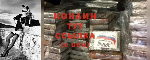 MDMA Новодвинск