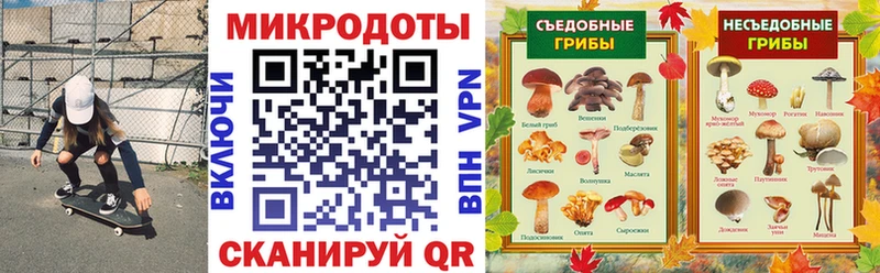 Купить где  Камызяк  Псилоцибиновые грибы Psilocybine cubensis 